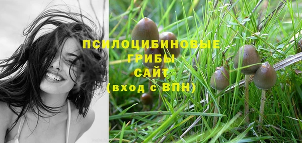 гидра Медвежьегорск