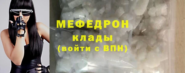 индика Михайловск