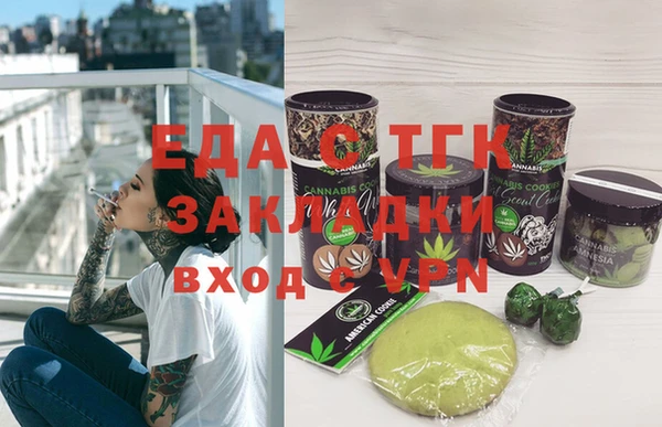 индика Михайловск