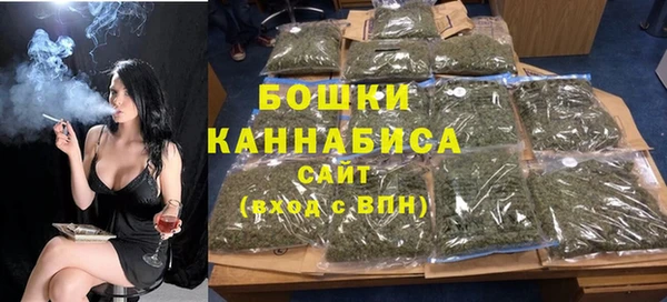гидра Медвежьегорск