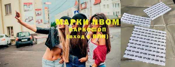 индика Михайловск