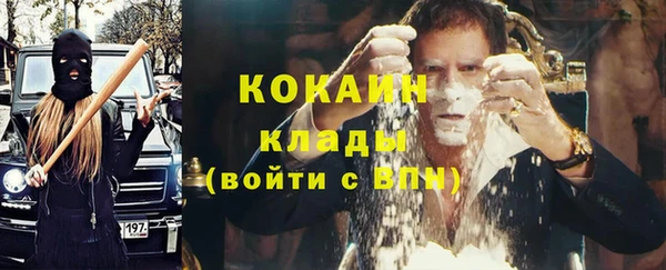 гидра Медвежьегорск