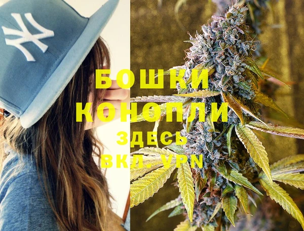 стафф Сковородино