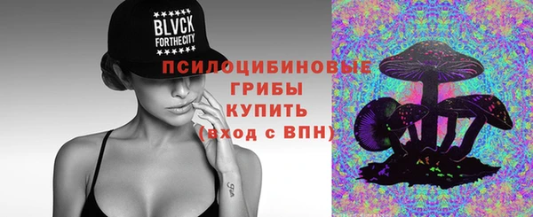 гидра Медвежьегорск