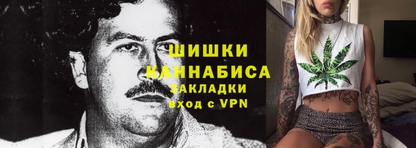 сатива Медногорск